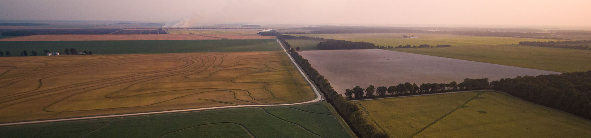 Overview of various fields